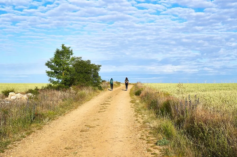 The Egeria Way and the Camino de Egeria - Biblical and Pilgrimage Jordan Tours